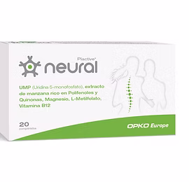 NEURAL